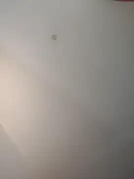 sissy_wanna_daddy Webcam Show