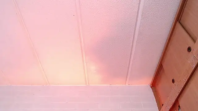 Amy66 Live XXX-Chat