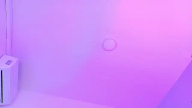 LexaDominant__ - open ass 1minute