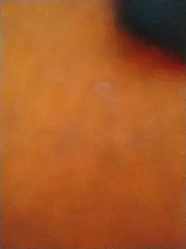 Chatroom XXX en direct de ReallyReallyReal