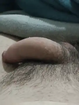 Chat XXX en directo de pollgorda10