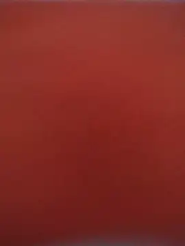 Chat XXX en directo de ReallyReallyReal