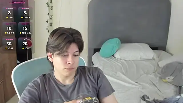 FelixSoft 现场XXX聊天