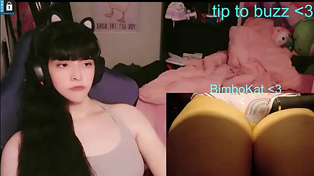 BimboCat Live XXX Chat