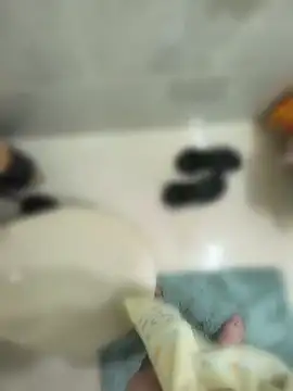 soyyoelque4 Live XXX Chat