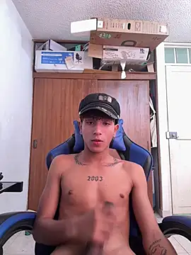 ArisStonne Webcam-Show