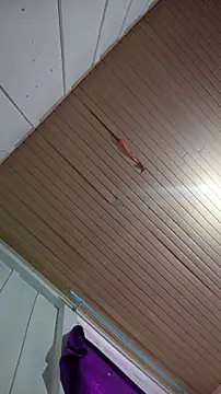 Chat +18 de Lua_Purple ao vivo