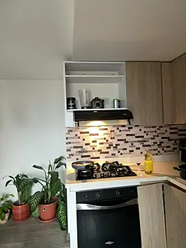 Dimitri_Bassn Webbikameraesitys