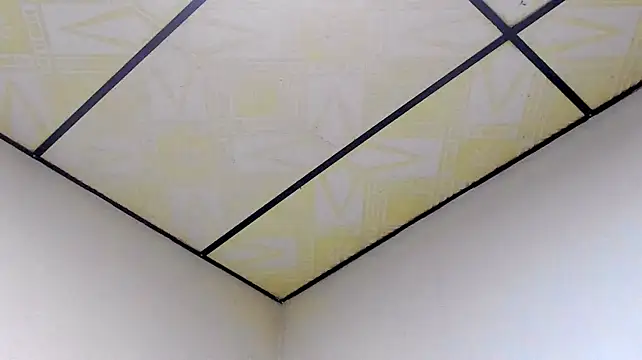 CandyJayne_ 라이브 XXX 채팅
