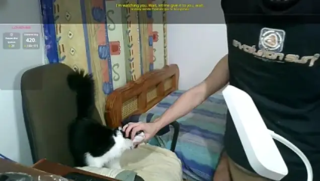 Chat +18 de Meeliivee ao vivo