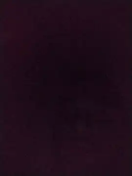 Francescodicristina44n Live XXX chat