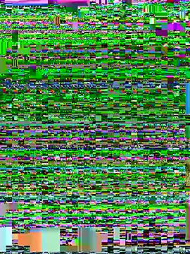 Yorel1109-'s Webcam Show