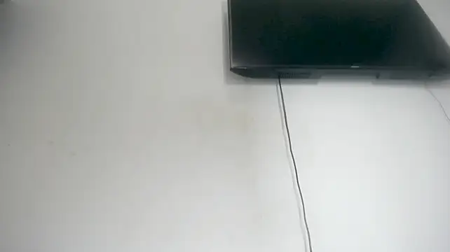Fox_Loves