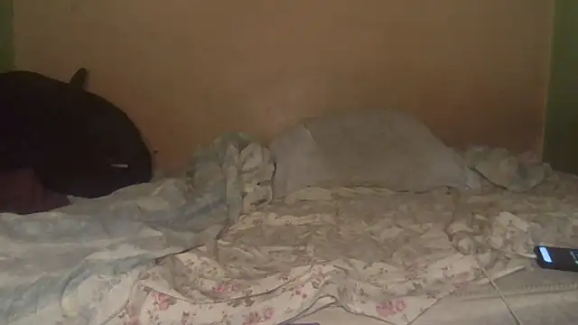 Chat XXX ao vivo de joaopimto0