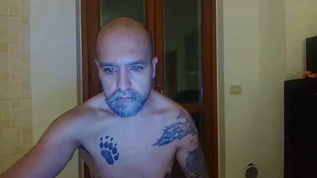 Chat +18 de AMIRDIB2025 ao vivo