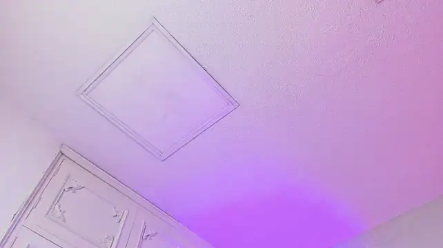 Tyler_durten 现场XXX聊天