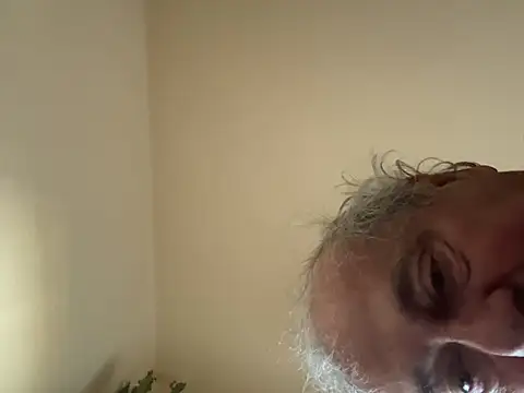 csikar 라이브 XXX 채팅