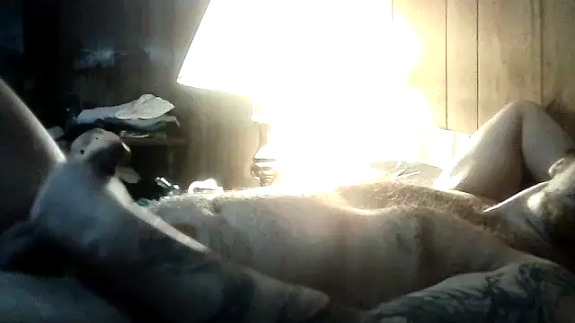 WyattL96's Live XXX Chat