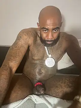 Chatroom XXX en direct de QHefner52
