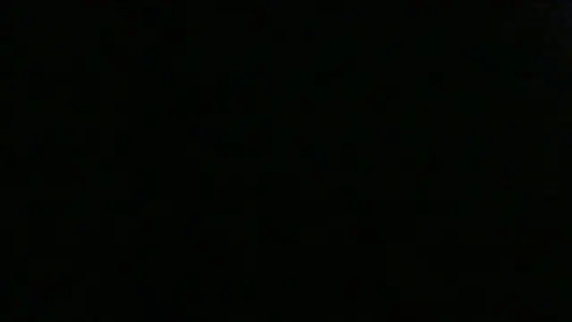 dracogottiのウェブカメラショー
