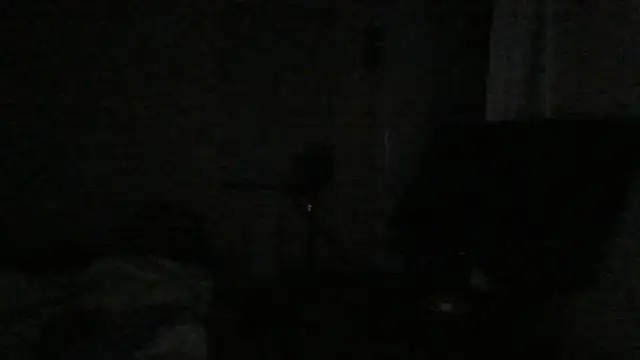 dracogotti live XXX chat
