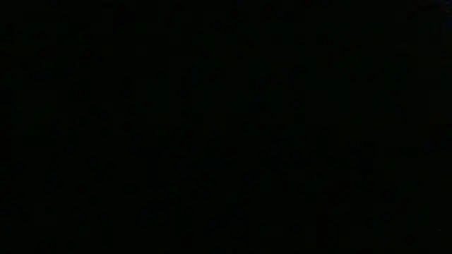 dracogotti Show in webcam