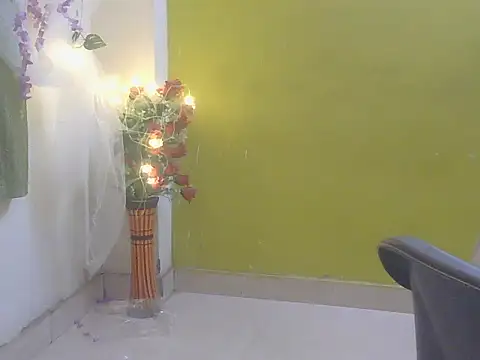 Stubborndesiboy লাইভ XXX চ্যাট