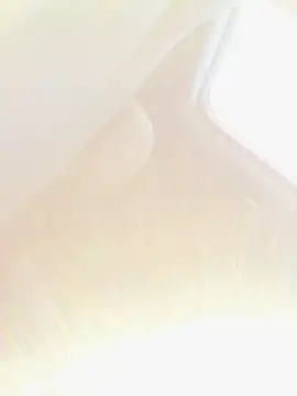 Pol8888 Live XXX-chat