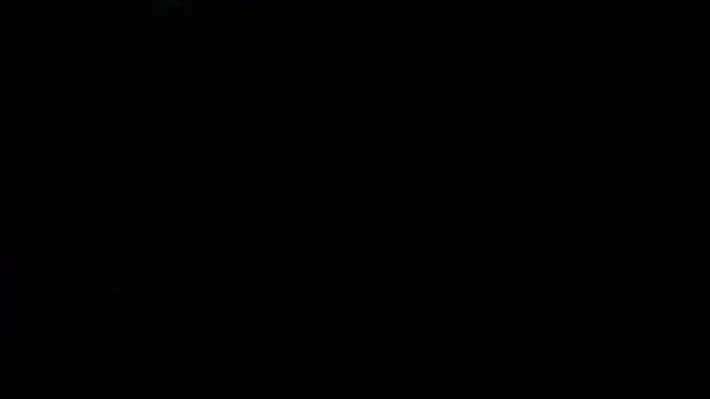 TrevorSteele Webcam-Show