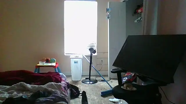 Show webcam de dracogotti