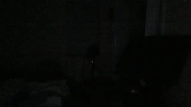 dracogotti webkamerás műsora