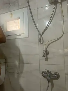 Alevlili