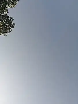 Ishqpari লাইভ XXX চ্যাট