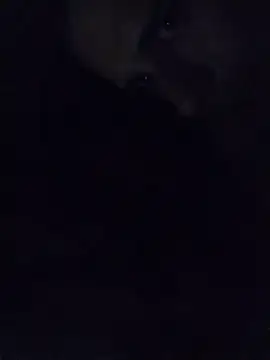 Juanita6908 লাইভ XXX চ্যাট