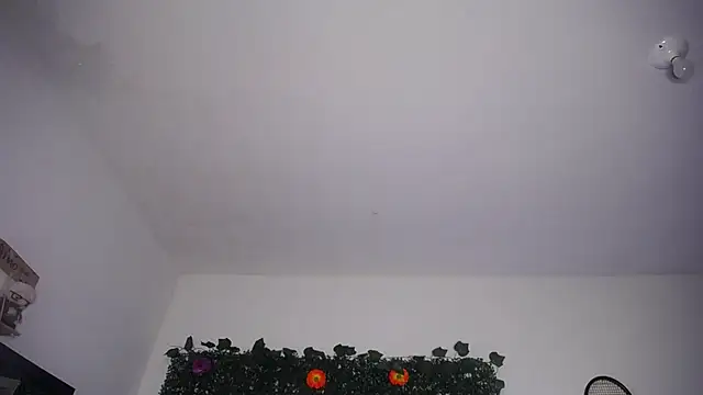 Violettacardona1 Obrolan Langsung XXX