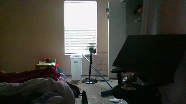 Chat XXX en directo de dracogotti