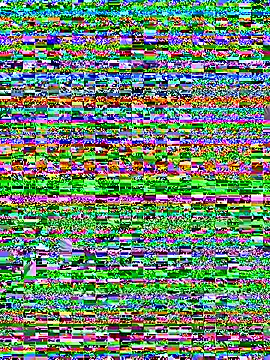F0X89 现场XXX聊天