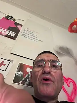 vdostman66n Webbikameraesitys