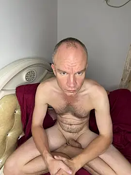 HansenHan Webbikameraesitys