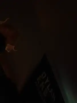 crazycam619: διαδικτυακό σόου στην κάμερα