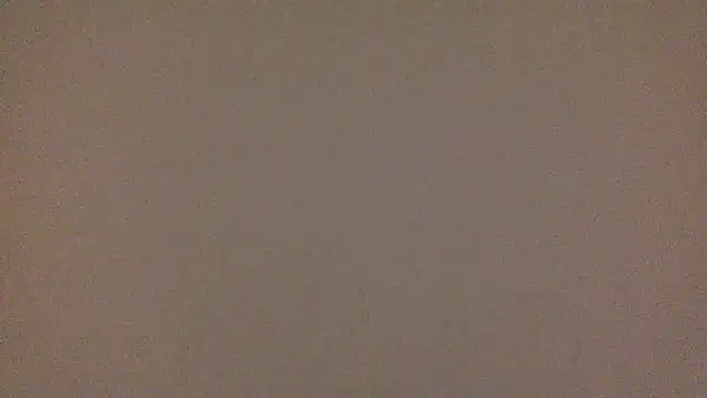 BeatrixxAndLiam: онлайн-секс-чат