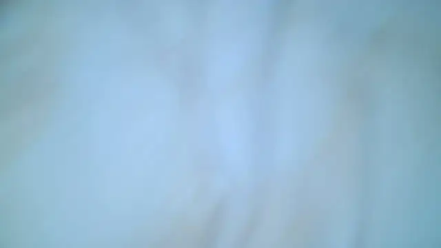 Czat XXX na żywo – Mushroom83