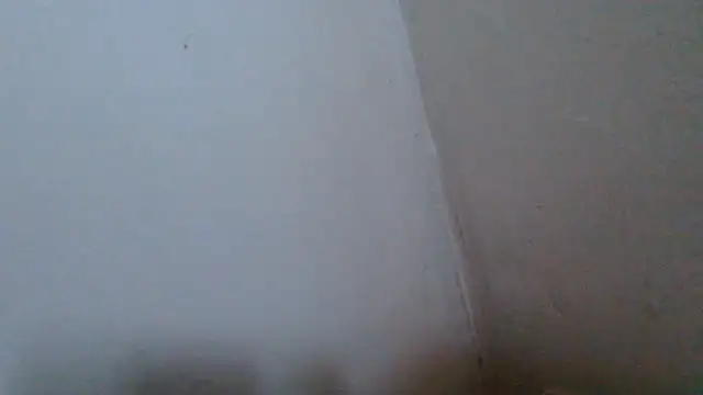 NuttyProfesir Pertunjukan Webcam