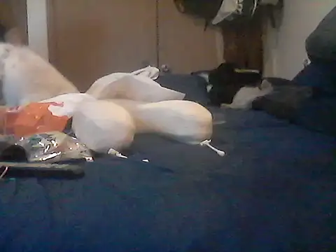 Show webcam de Silencio26
