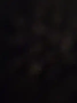 crawlerdrill's Live XXX Chat