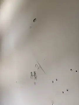 Živý XXX chat mario_pedro
