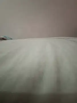 Kingmam444 웹캠 쇼