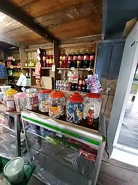 Evehamp Show Webcam