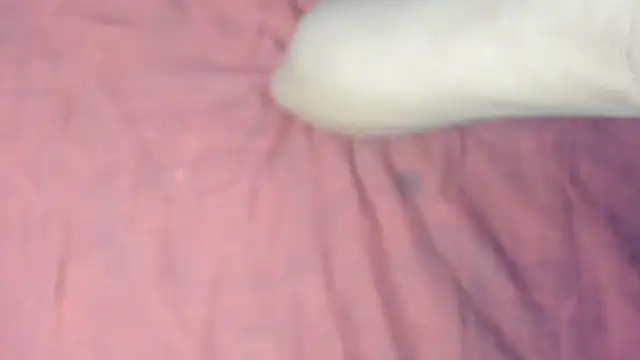 ArianaUnicorn Webcamshow
