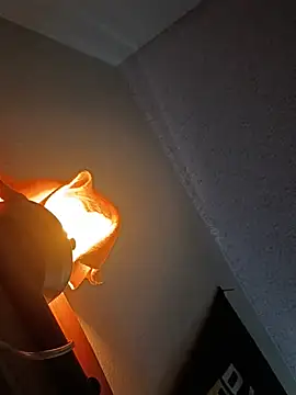Czat XXX na żywo – crazycam619